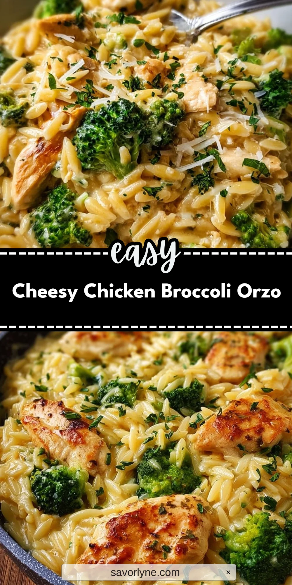 Cheesy Chicken Broccoli Orzo