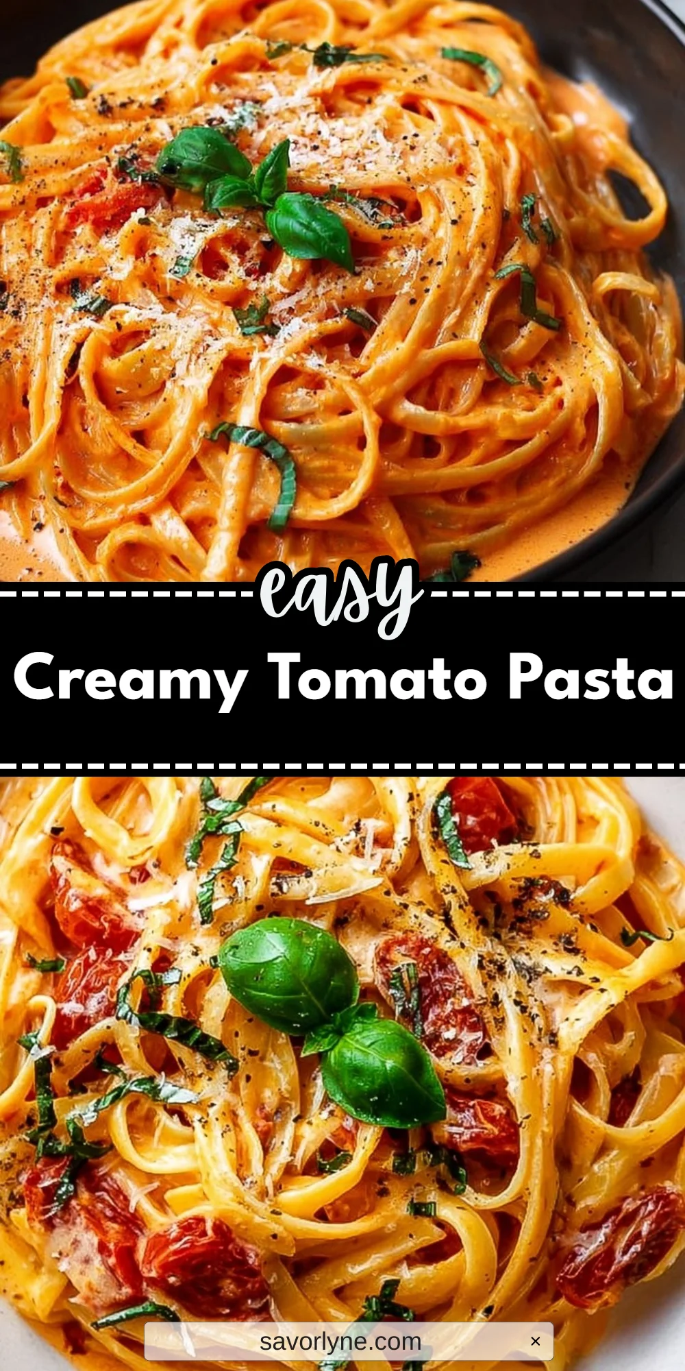 Creamy Tomato Pasta