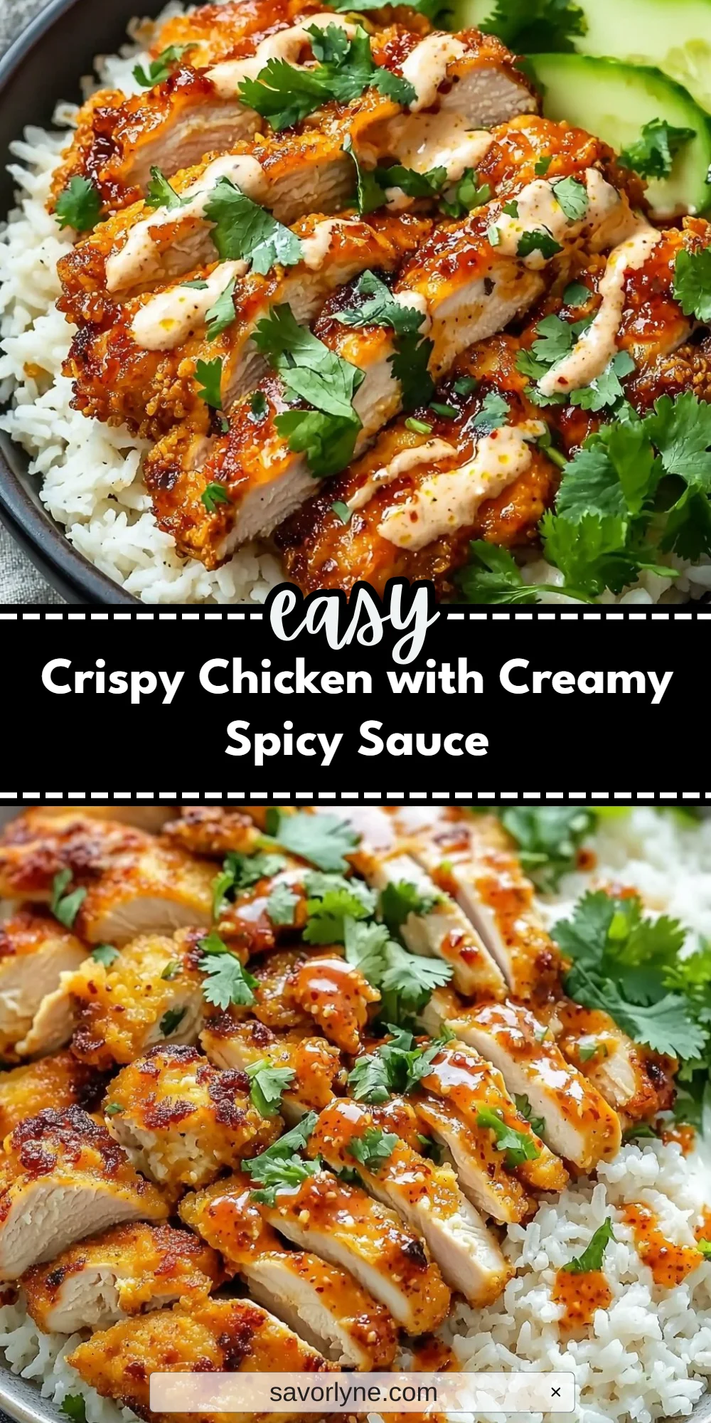 Crispy Chicken with Creamy Spicy Sauce