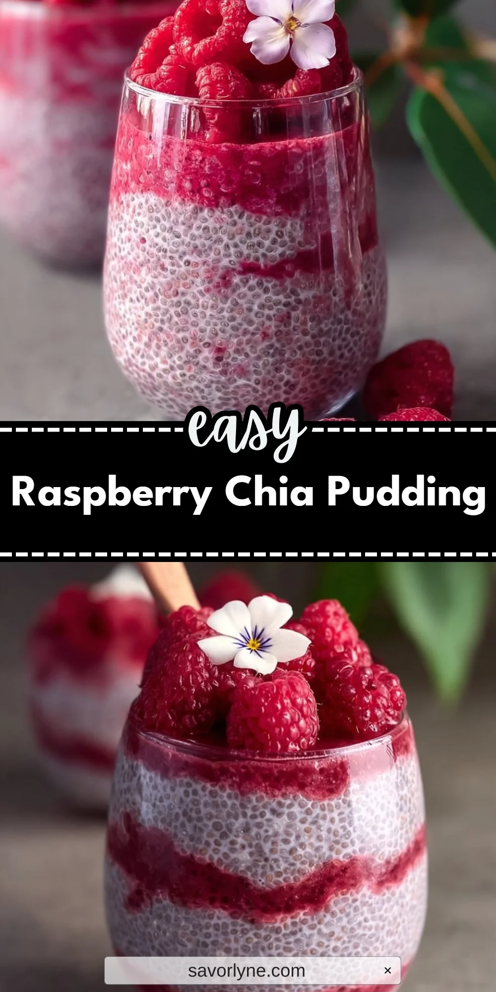 Raspberry Chia Pudding