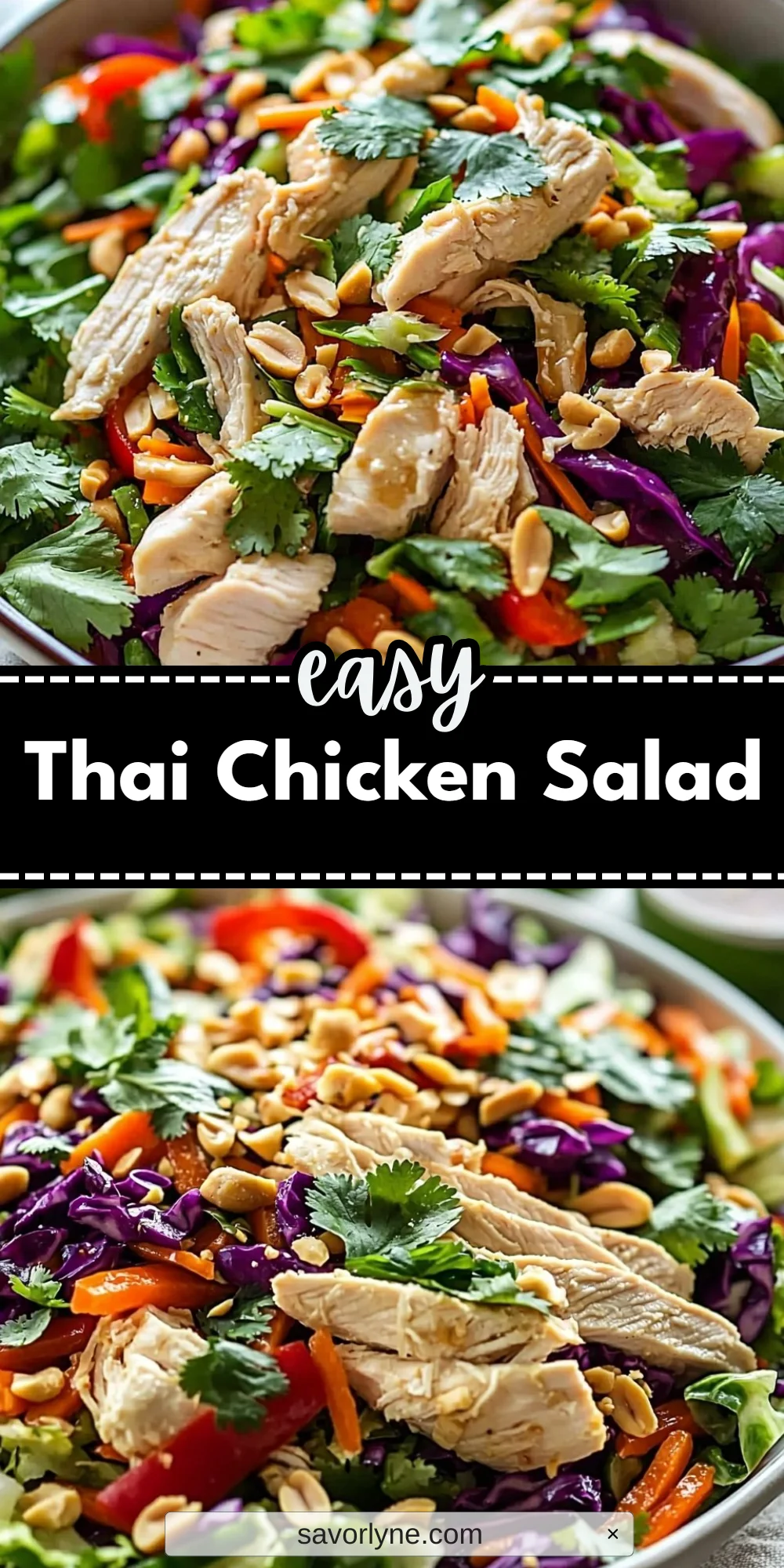Thai Chicken Salad