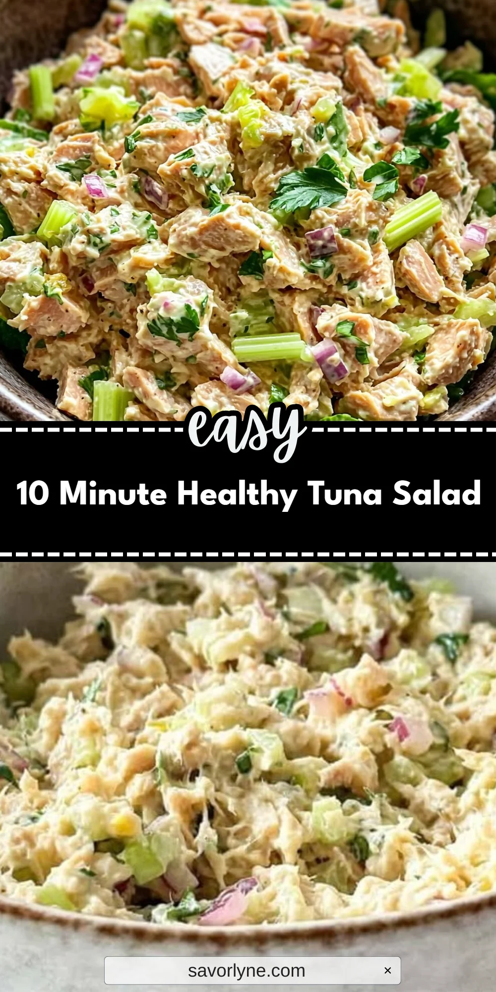 10 Minute Healthy Tuna Salad