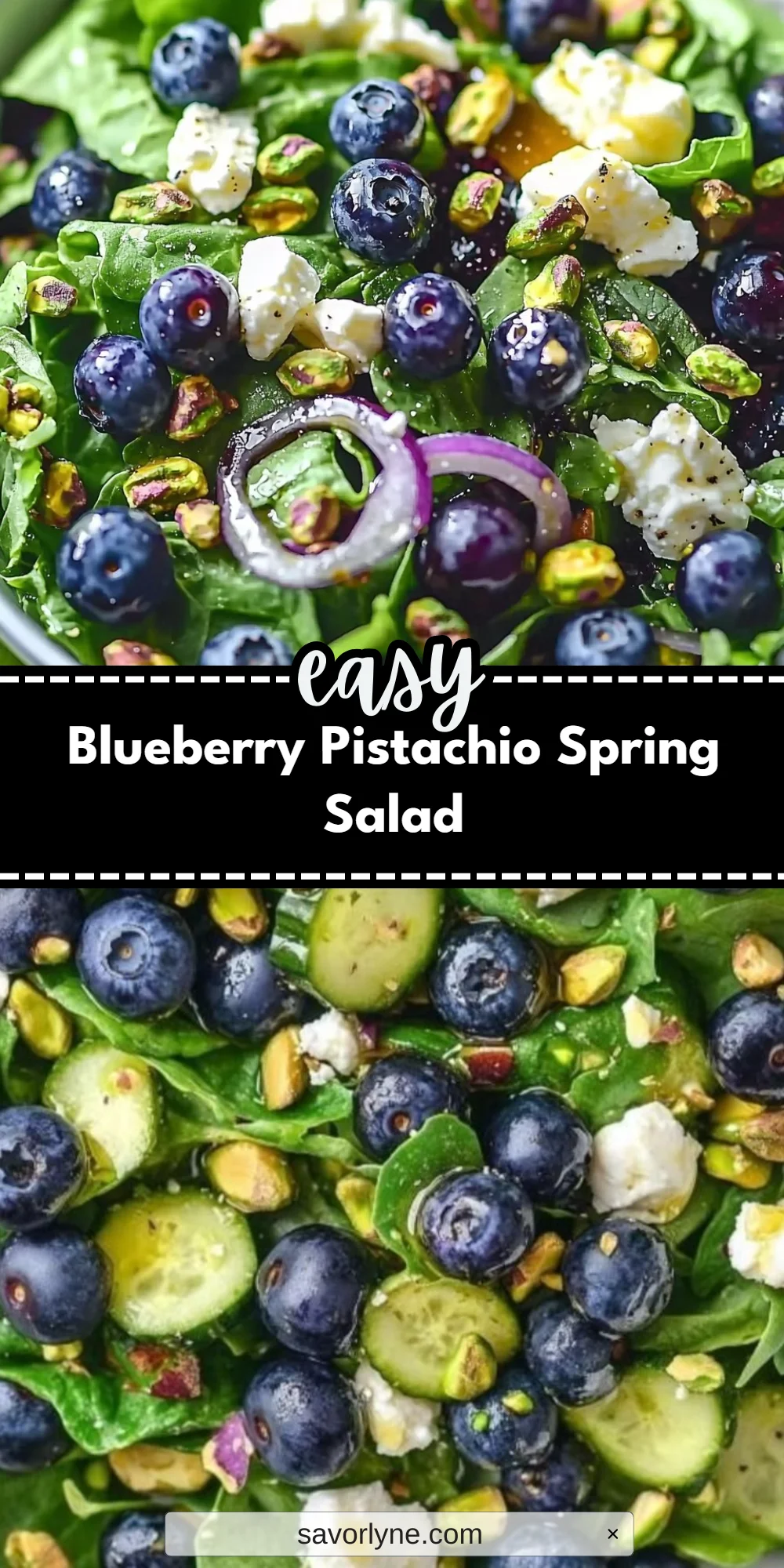 Blueberry Pistachio Spring Salad