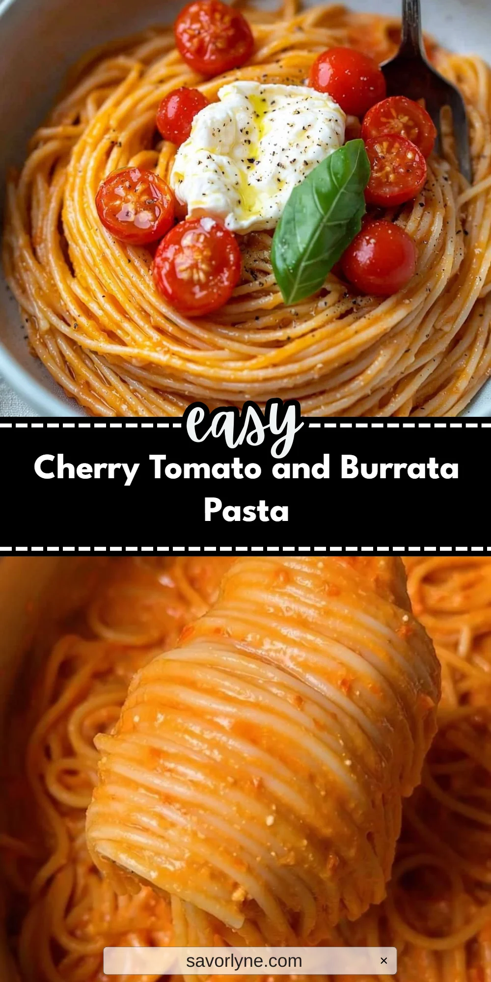 Cherry Tomato and Burrata Pasta