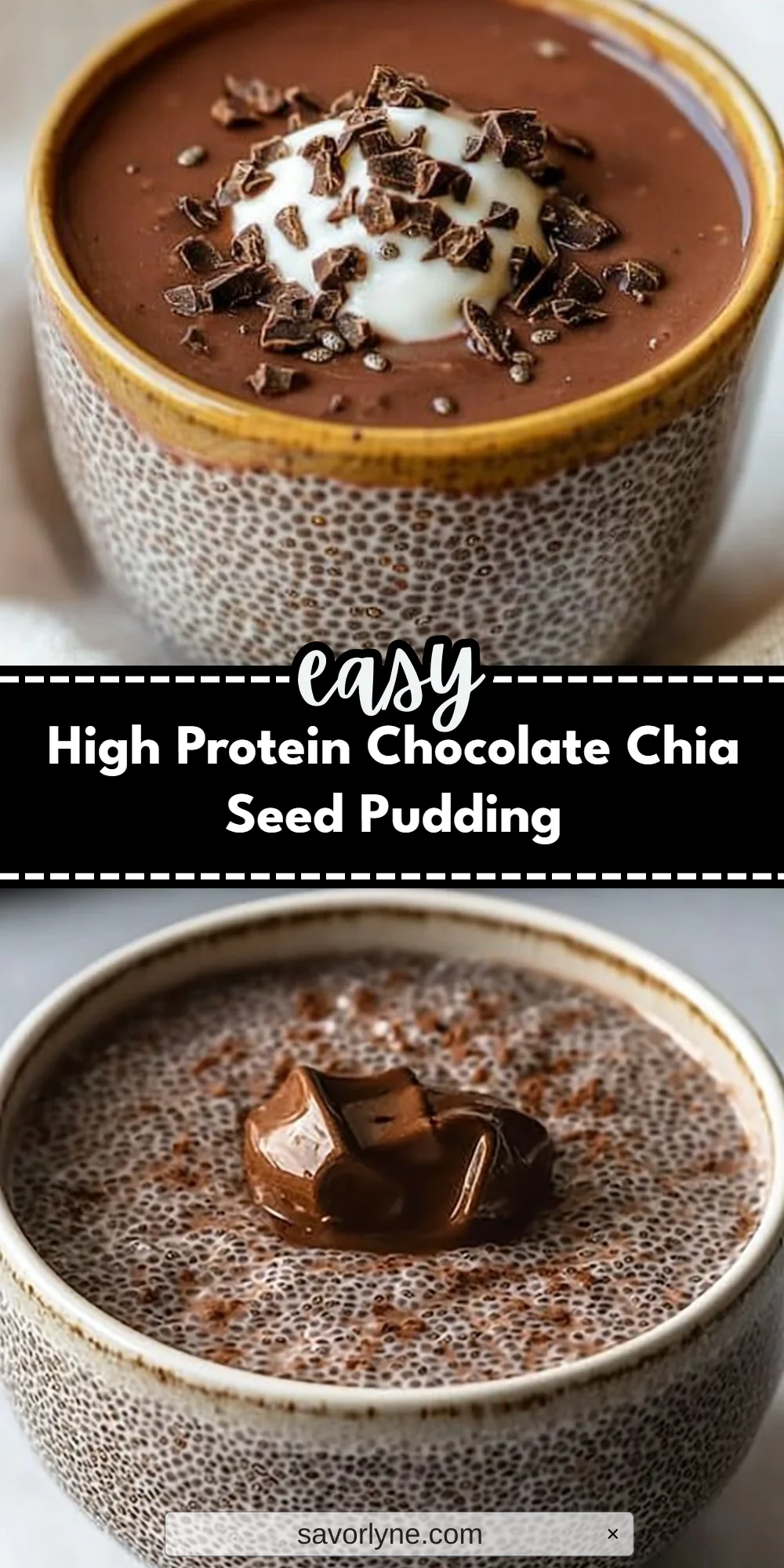 High Protein Chocolate Chia Seed Pudding