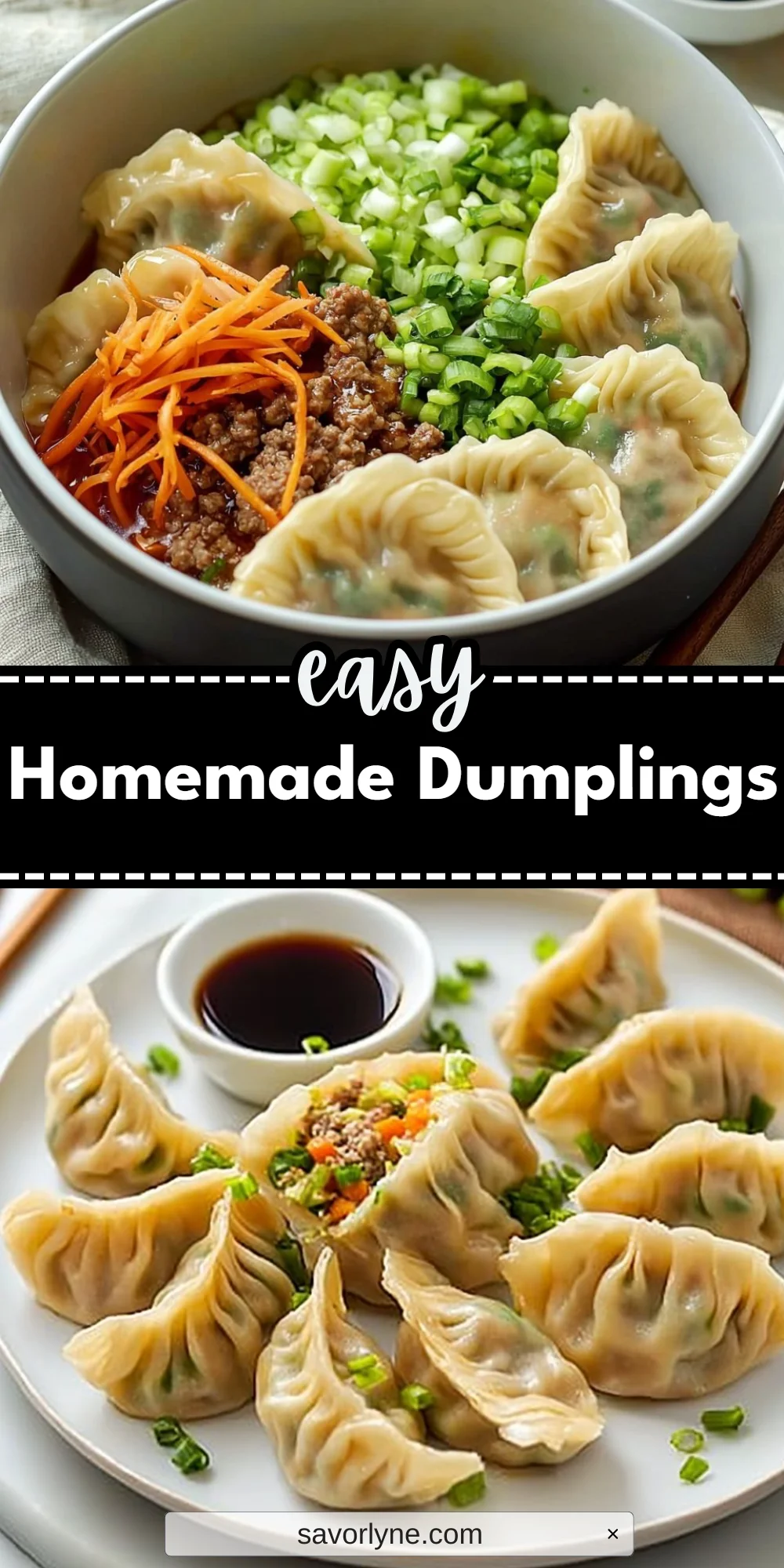 Homemade Dumplings