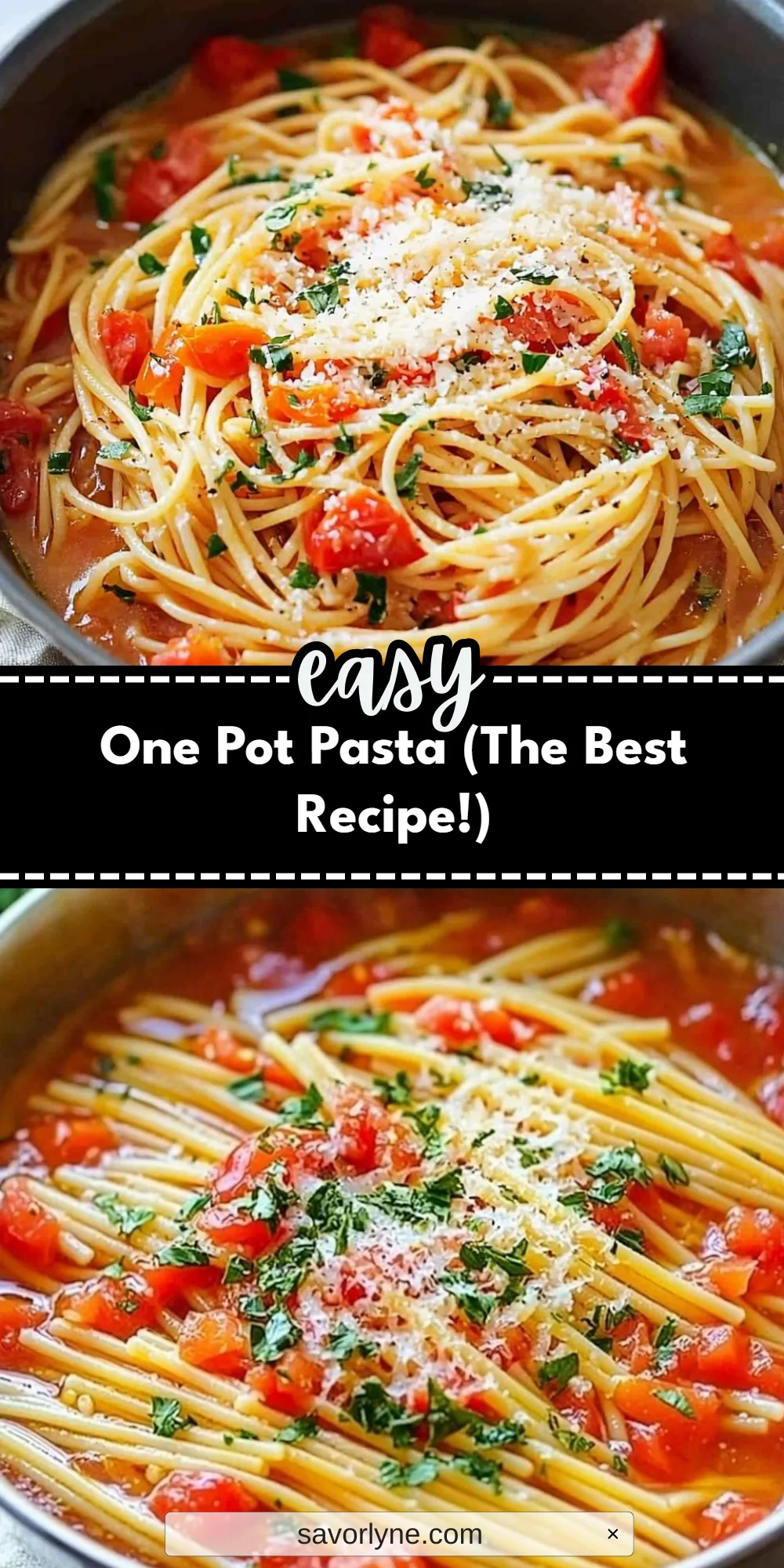 One Pot Pasta (The Best Recipe!)