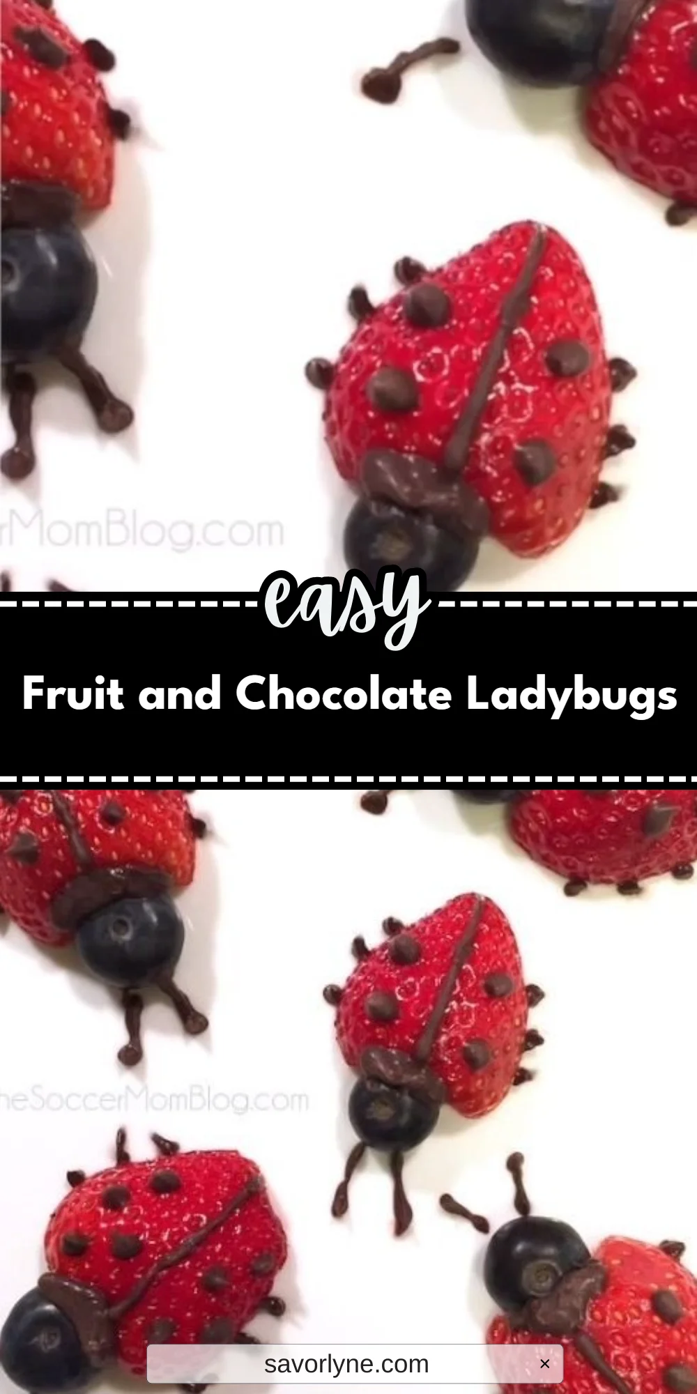Fruit and Chocolate Ladybugs