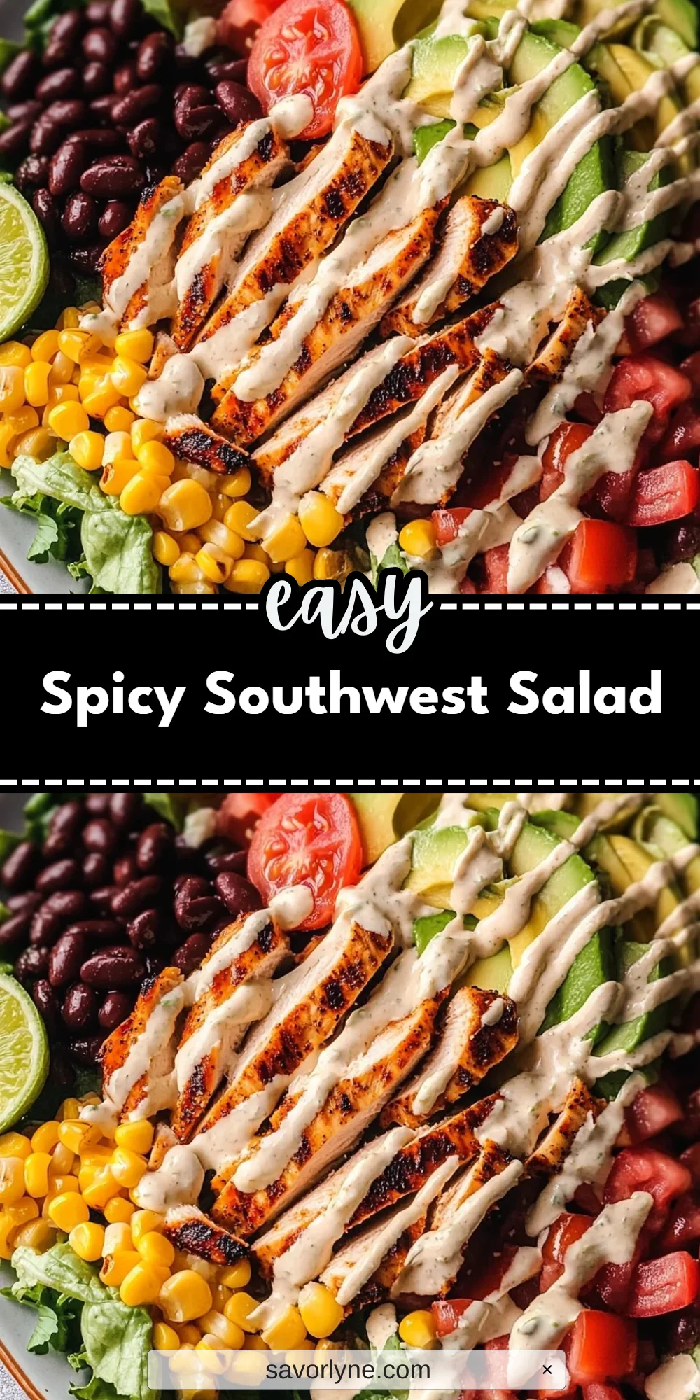 Spicy Southwest Salad