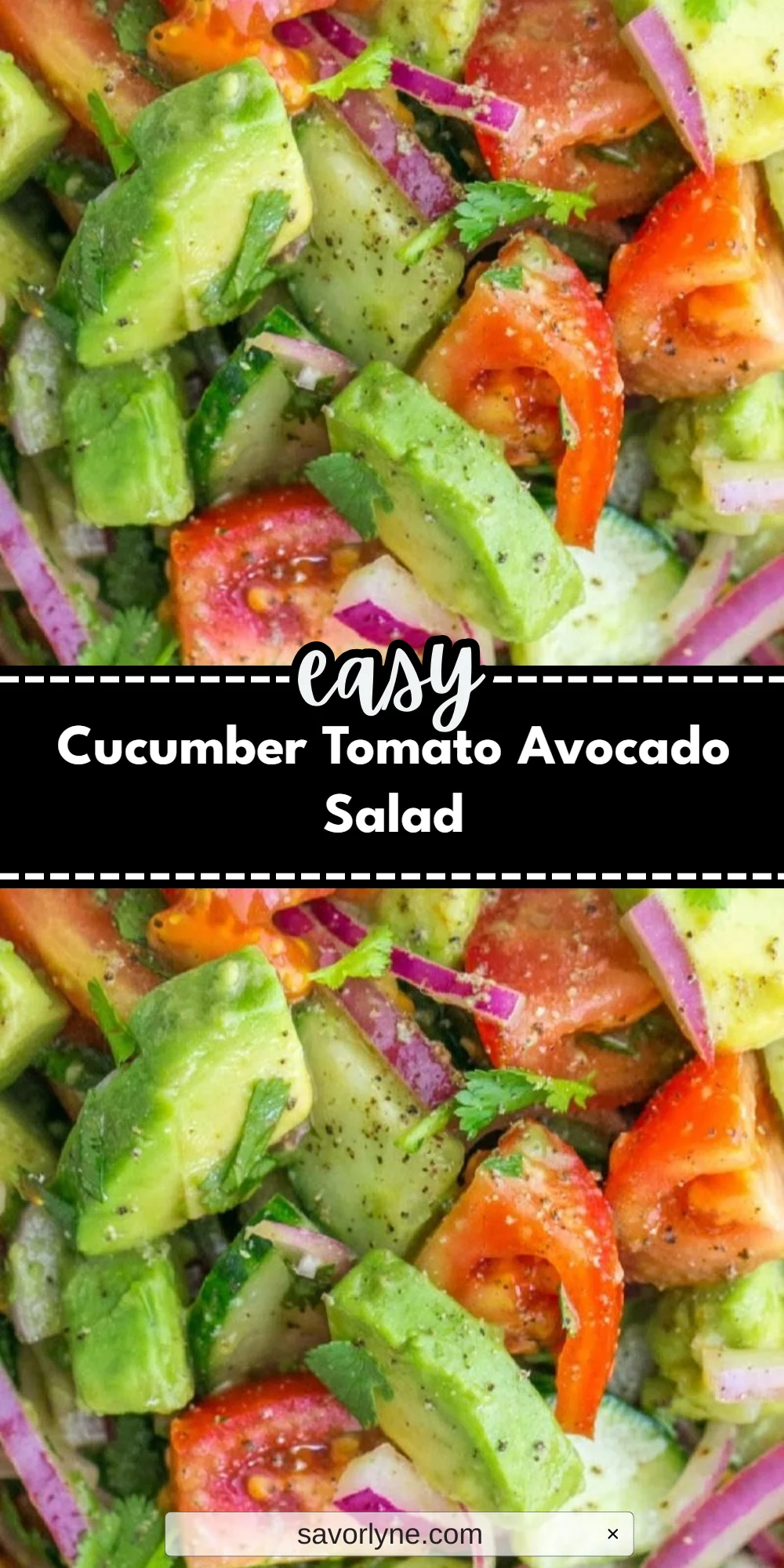 Cucumber Tomato Avocado Salad