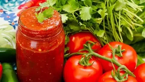 Pioneer Woman salsa in a bowl with fresh ingredients