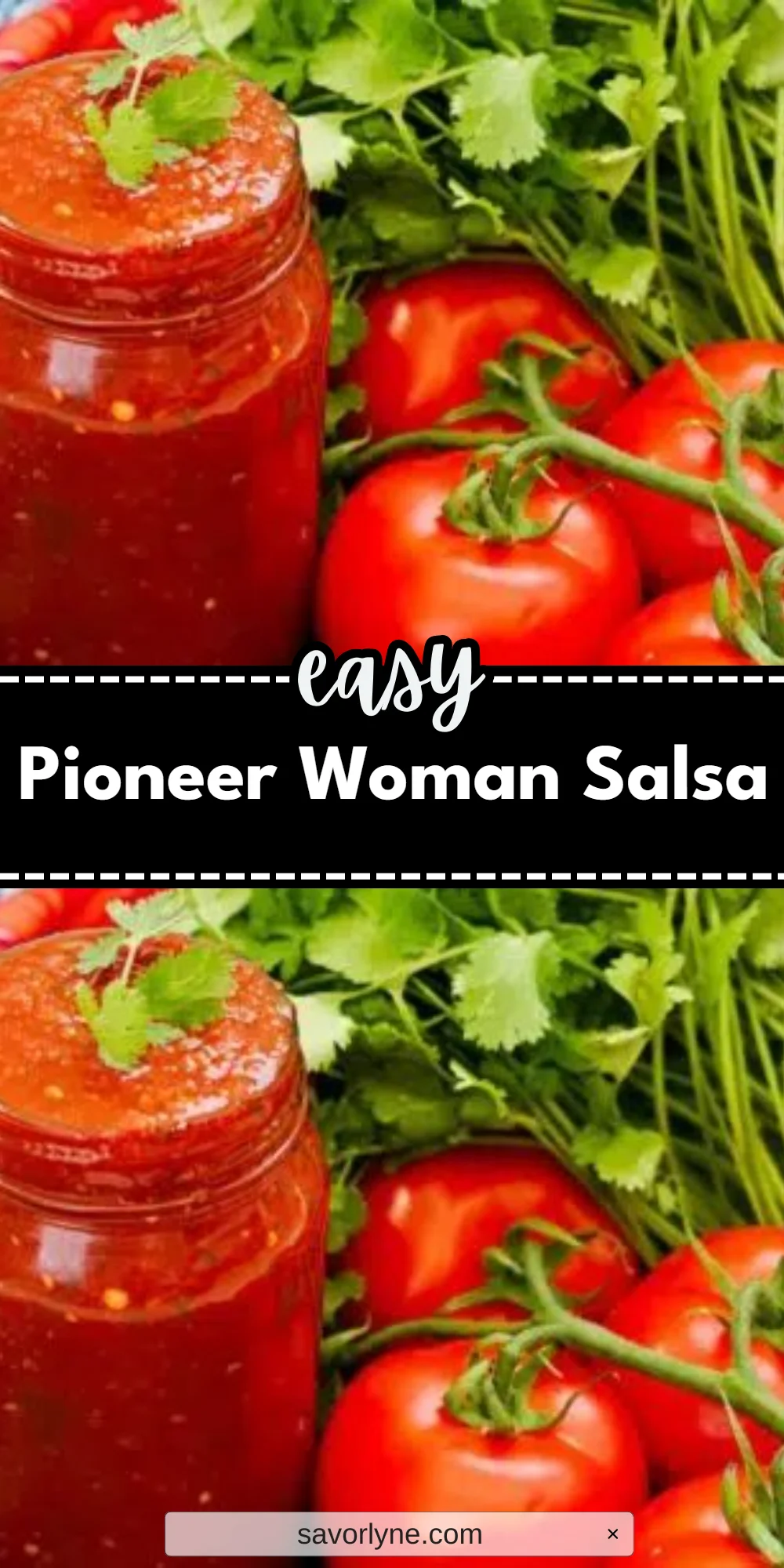 Pioneer Woman Salsa