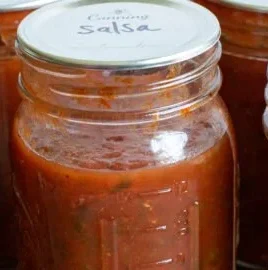 Homemade salsa ingredients prepared for canning fun and flavorful preserves.
