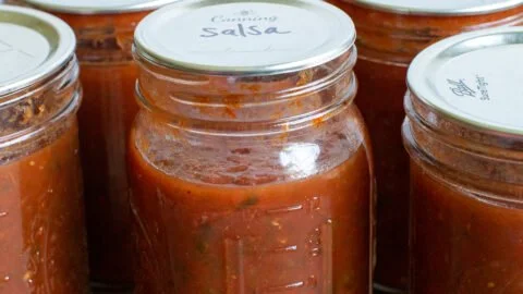Homemade salsa ingredients prepared for canning fun and flavorful preserves.