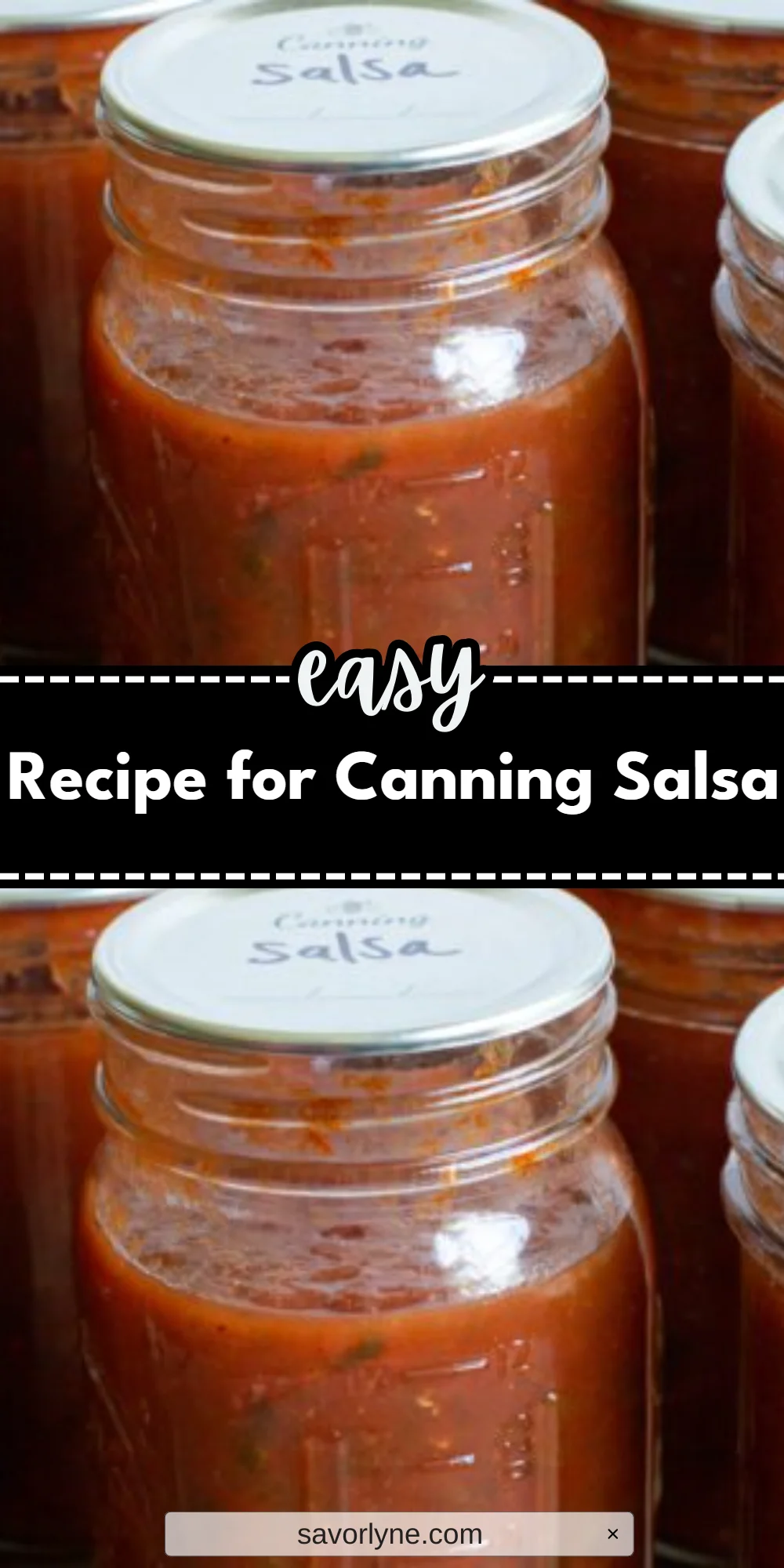 Recipe for Canning Salsa